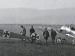 Two Fokker E.III of BAO stand ready for action (0198-101)